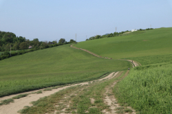 44. Litoměřické pochody